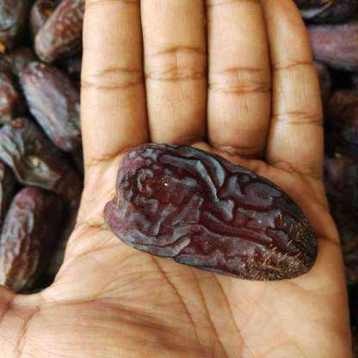 Importing Mazafati date to Canada