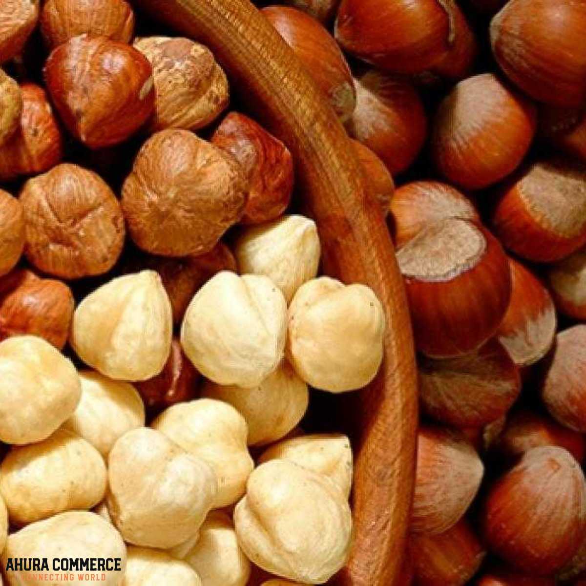 Exporting Hazelnut from Iran