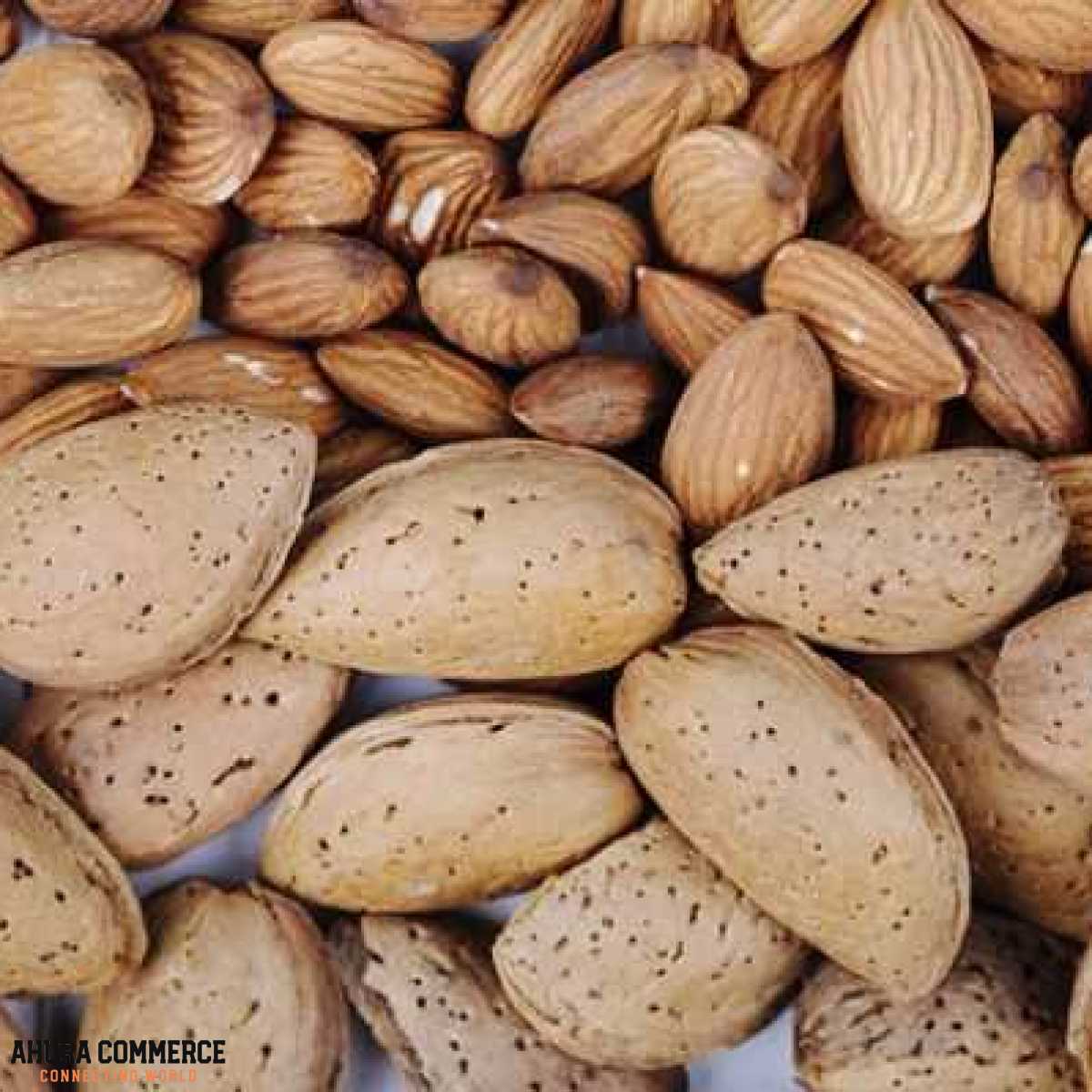 Exporting Almonds to Germany