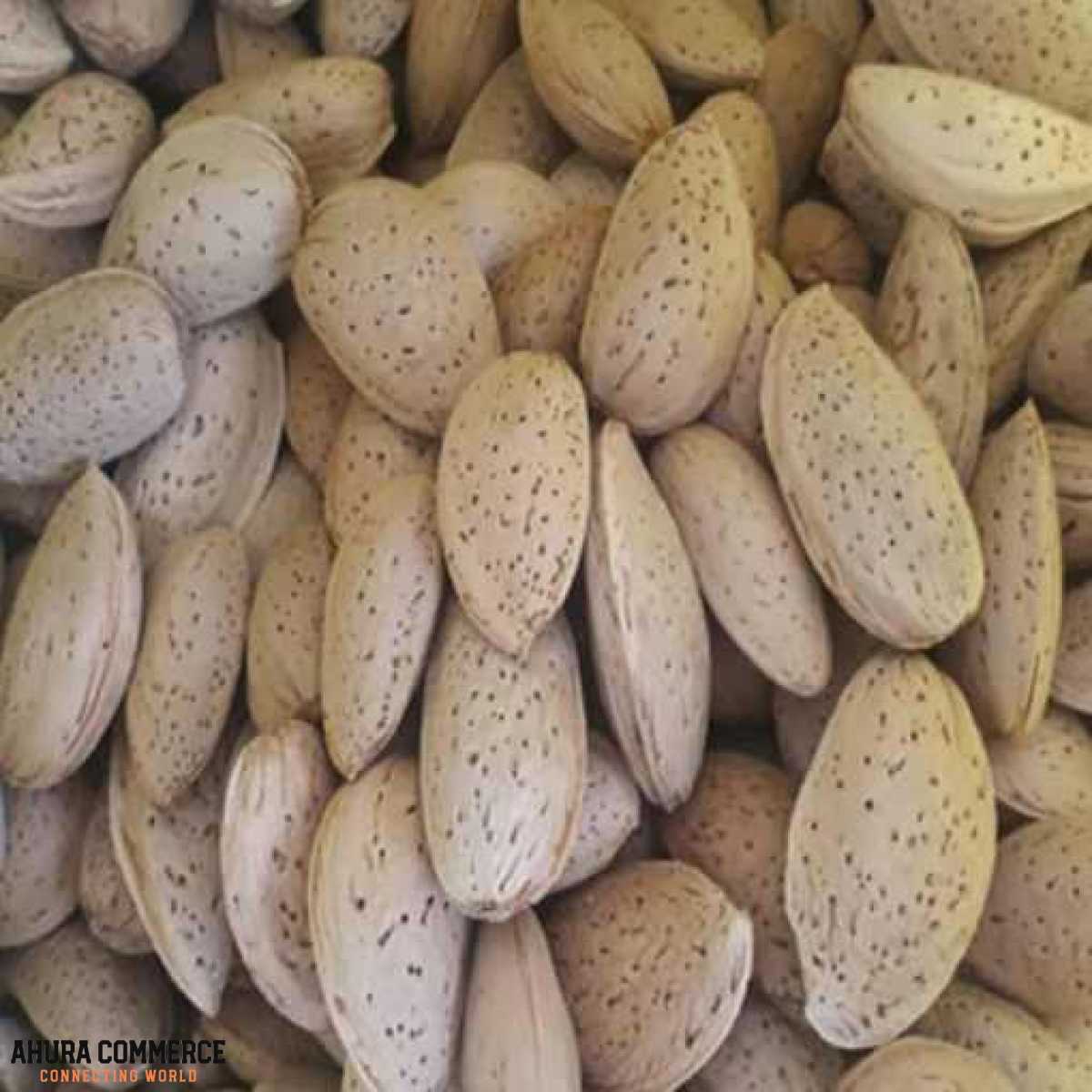 Almonds for Export