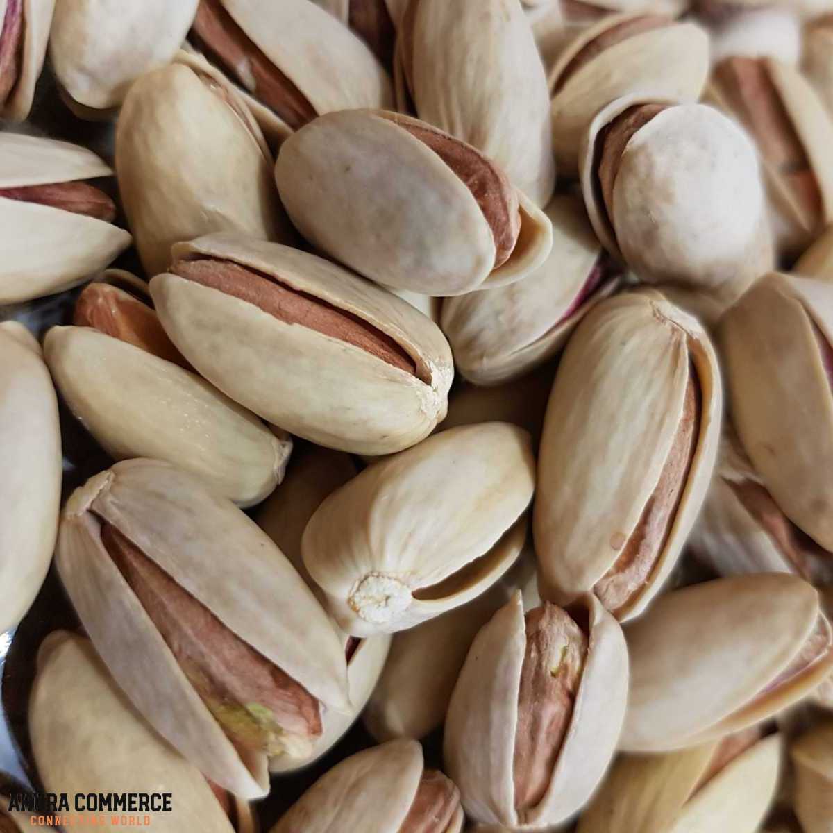 Pistachios for Export