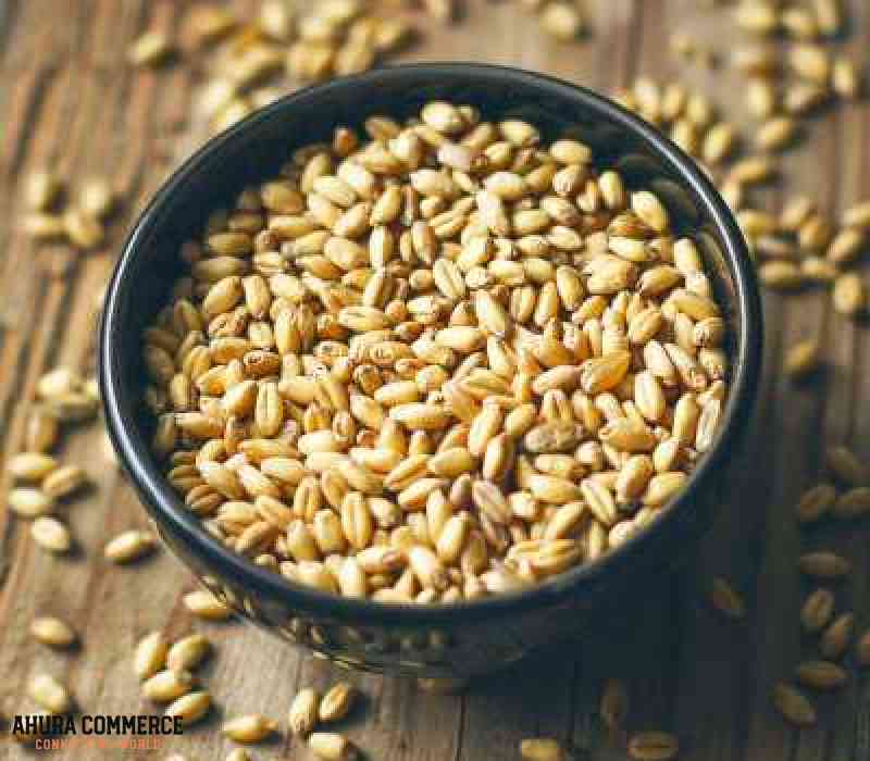 Exporting Canadian Wheat to China