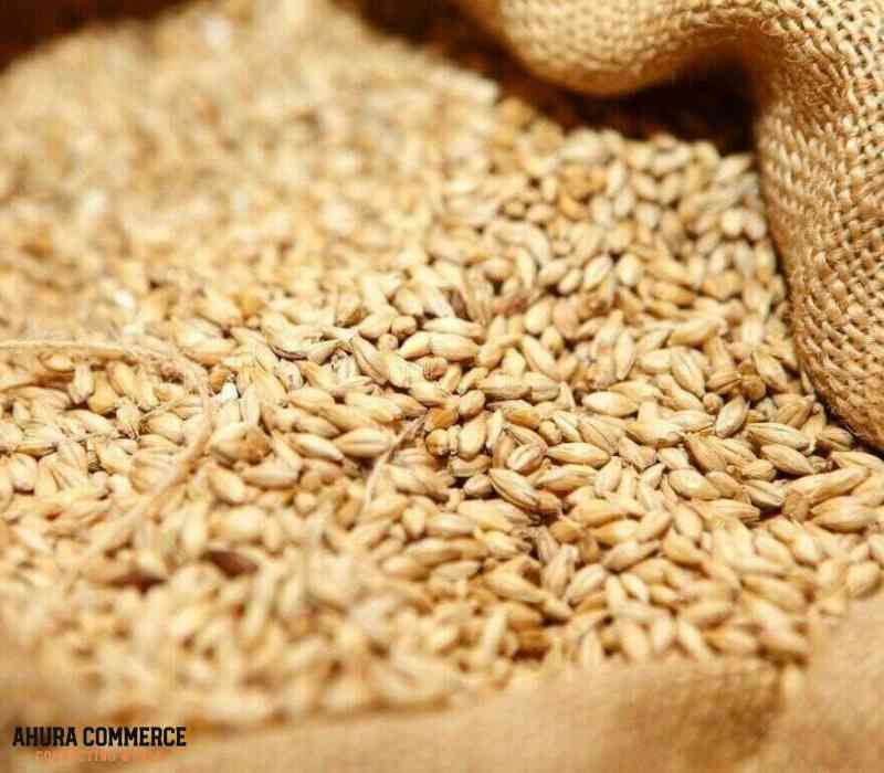 Export wheat to England