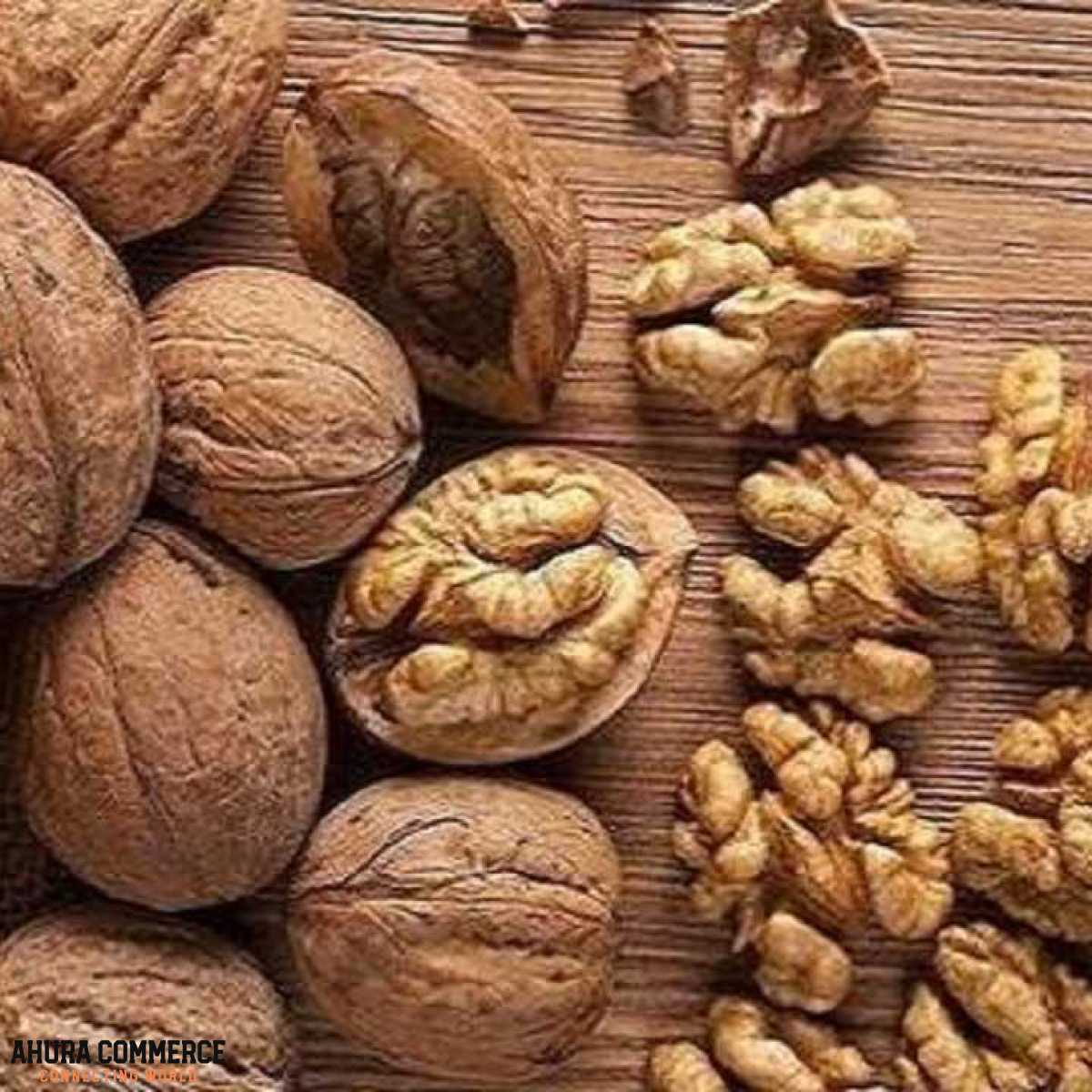 Walnuts for Export to the UAE