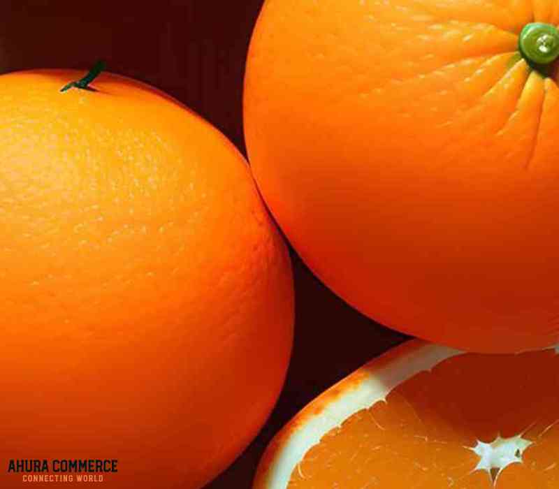 Iranian Hamlin Orange sales In bulk to Oman