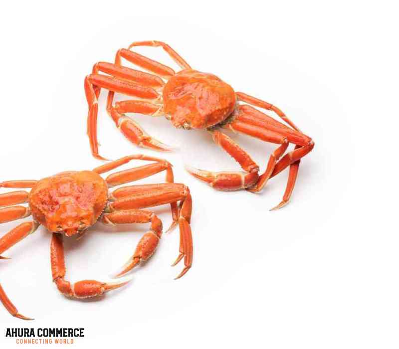 Crab farmer in Canada