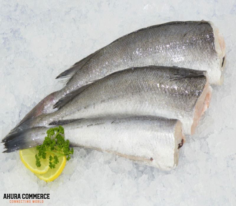 Buy and Import Hake fish from Canada