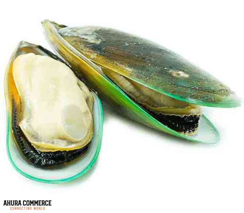 Nova Scotia Blue mussels for Sale