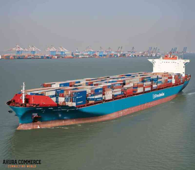 155_download_11zon_1