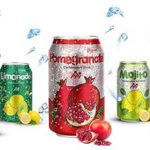 Fresh fruit Beverage for import