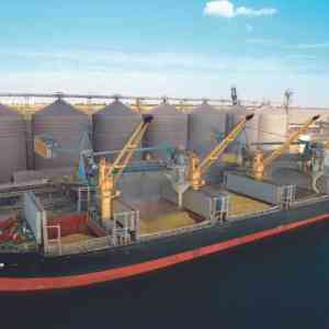 Import Grain from Russia to Iran 