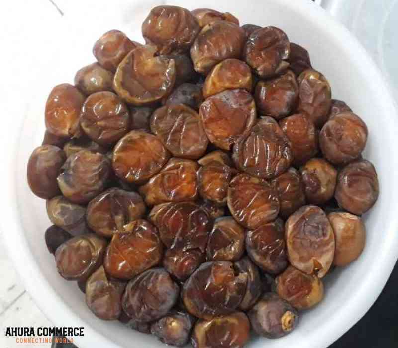 256_iranian_barhi_date_for_export