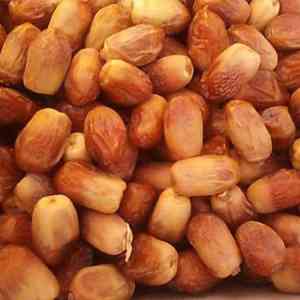 Importing Zahedi date to Canada