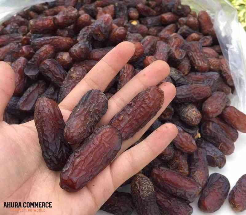 281_iranian_date_for_export
