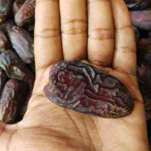 Importing Mazafati date to Canada