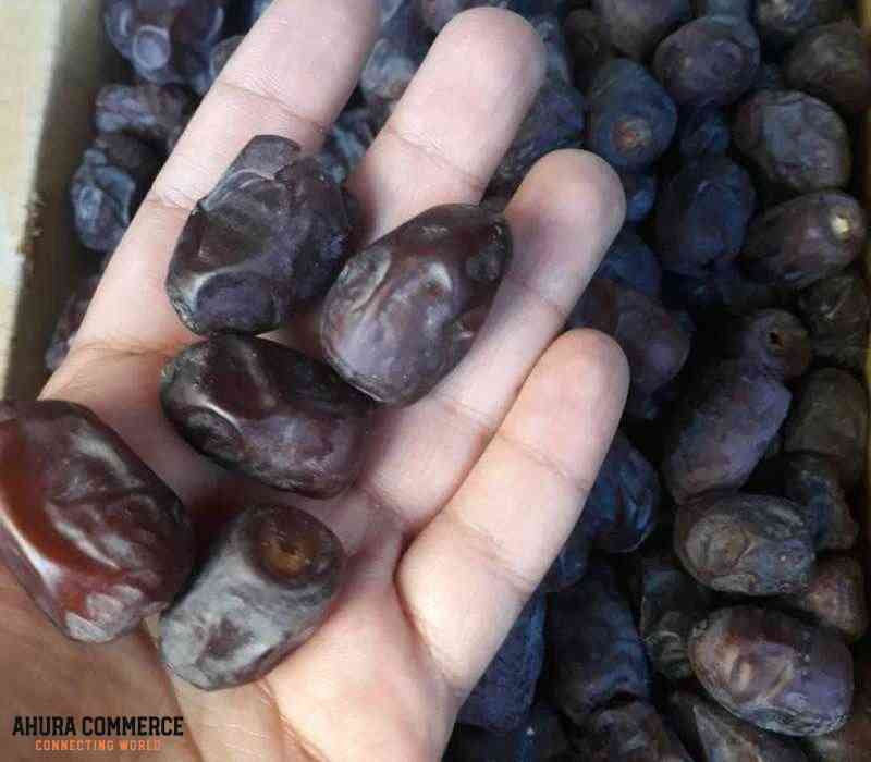 283_exporting_mazafati_date_from_iran