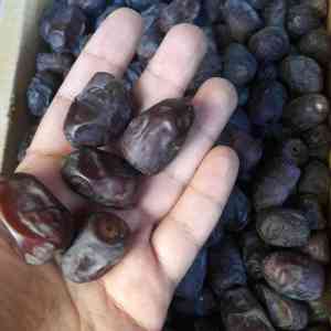 Exporting Mazafati date from Iran