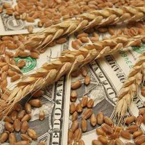 Export Canadian Wheat to Japan