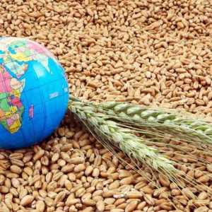 Export Canadian wheat to England