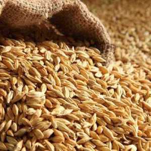 Canadian Wheat Supplier