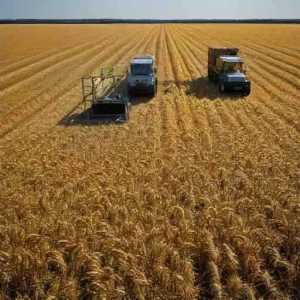 Exporting Wheat from Canada