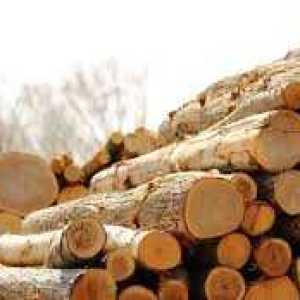 Exporting timber wood from Canada to America