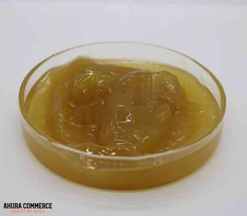 455_exporting_iranian_foots_oil_to_germany