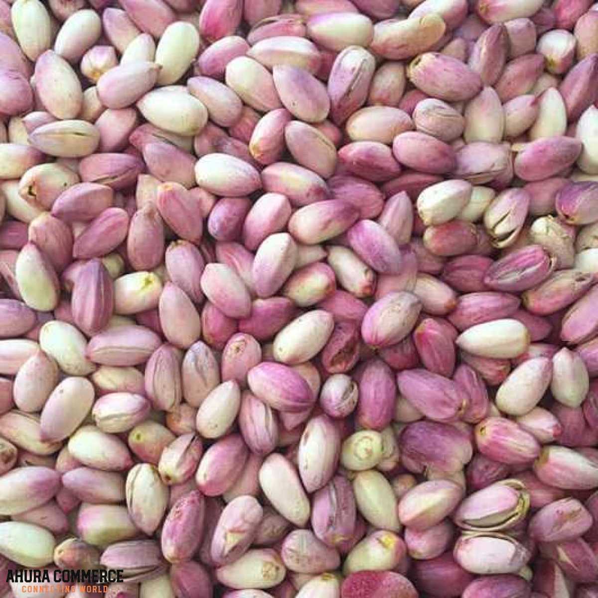 616_premium_raw_iranian_pistachios_for_export_to_oman