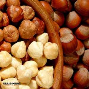  Exporting Hazelnut from Iran