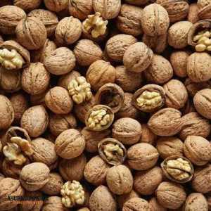 Exporting Walnut From Iran