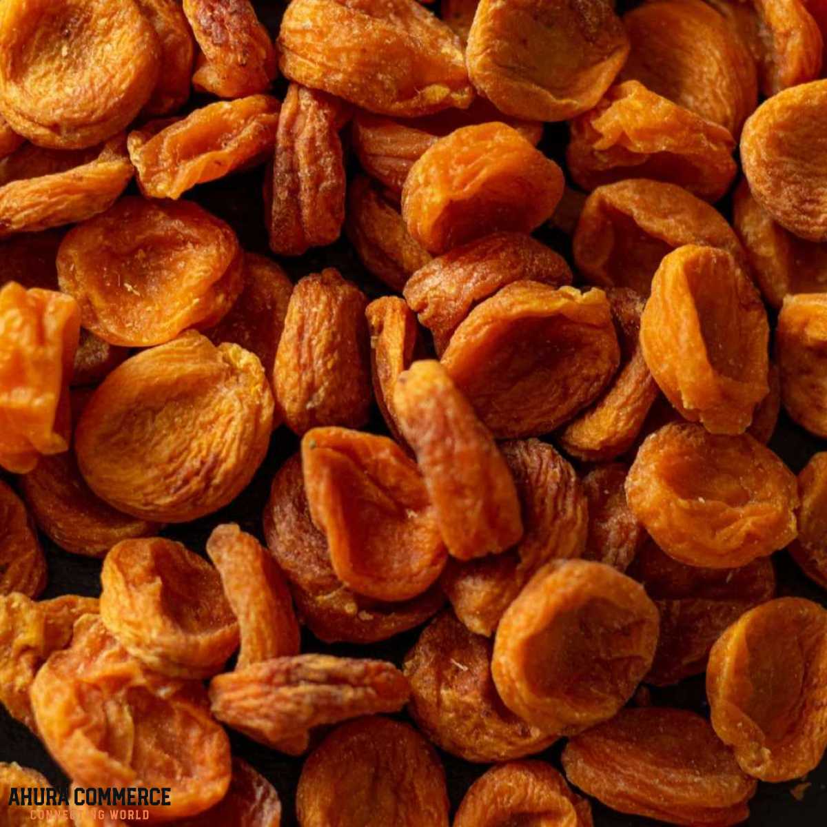 683_17-facts-about-dried-apricots-1689357407