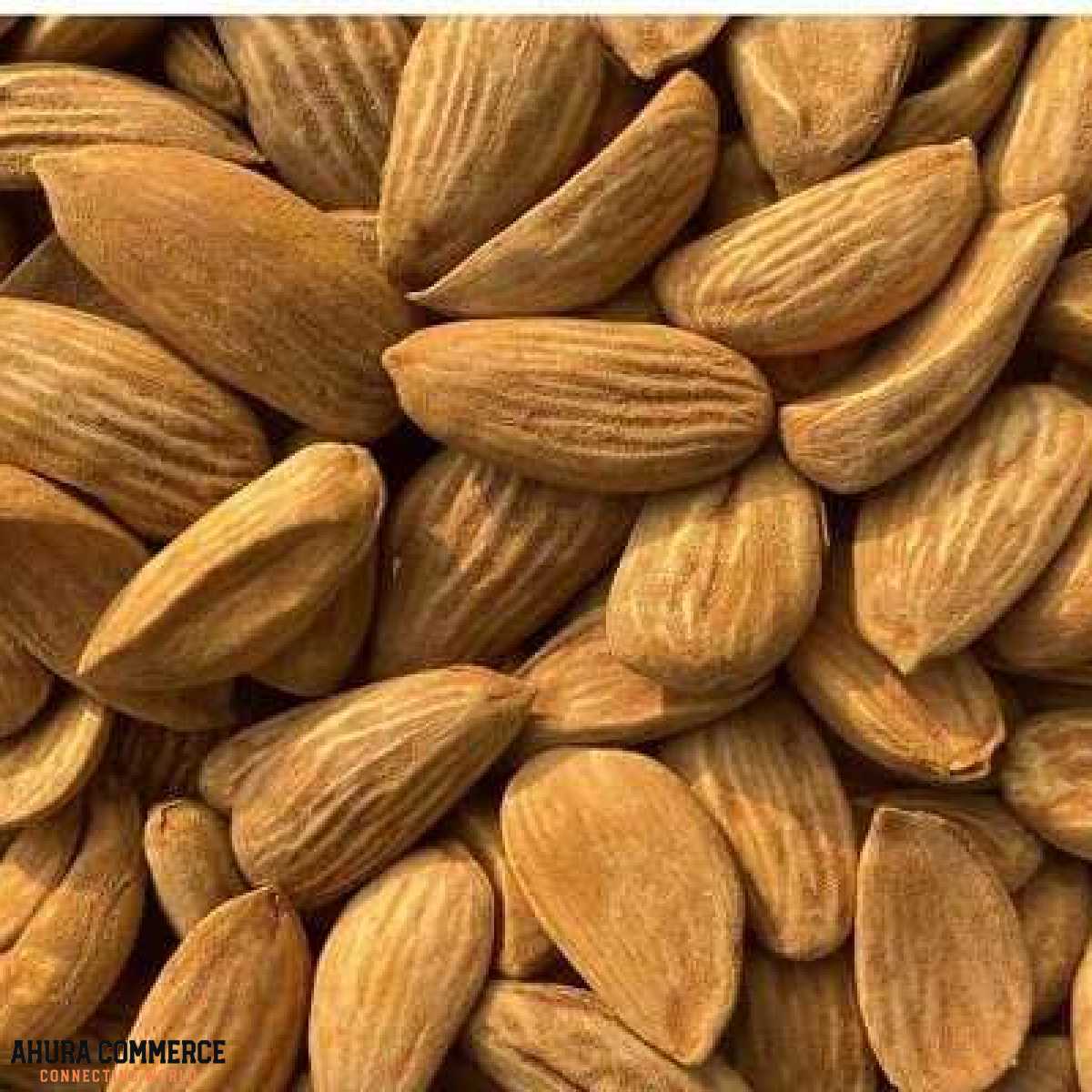 698_exporting_almonds_to_india