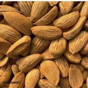 Exporting almonds to india