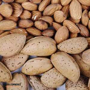  Exporting Almonds to Germany