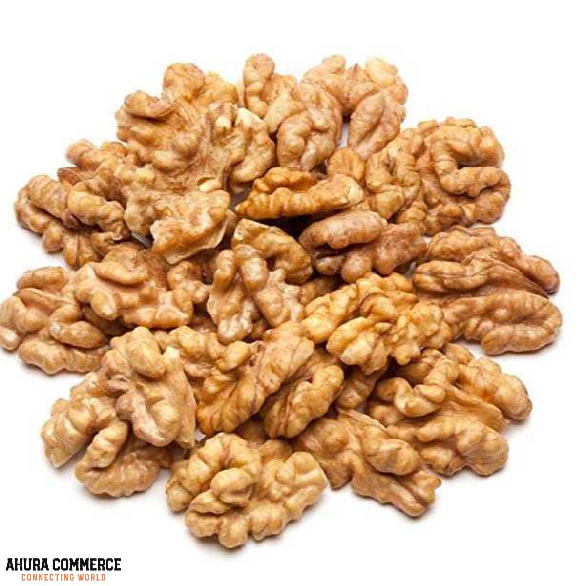 797_walnuts_for_export_from_iran