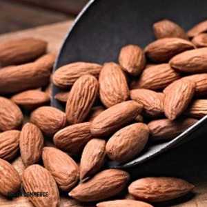 Exporting Almond to UAE