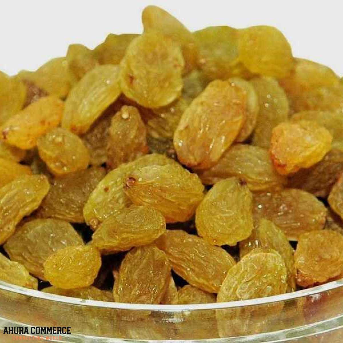 804_exporting_raisins_to_uae