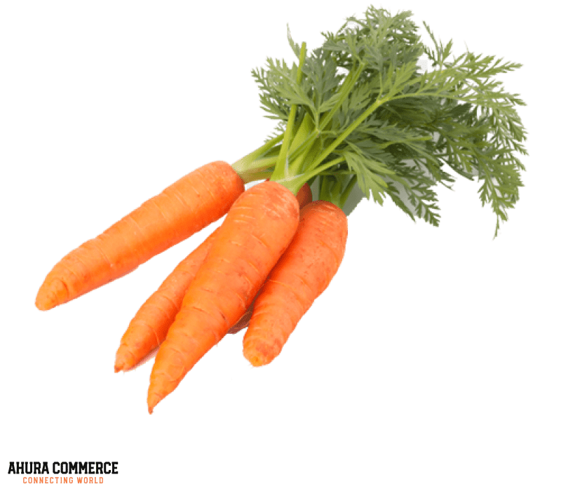 1036_carrot_seller_in_iran