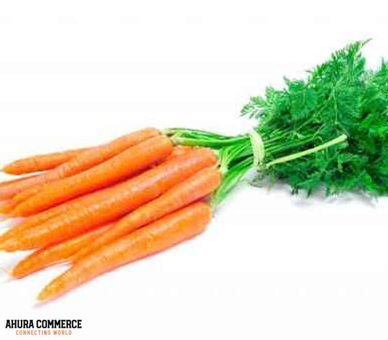 1037_sell_and_export_iranian_carrots_to_oman