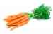 Sell and Export Iranian carrots to Oman