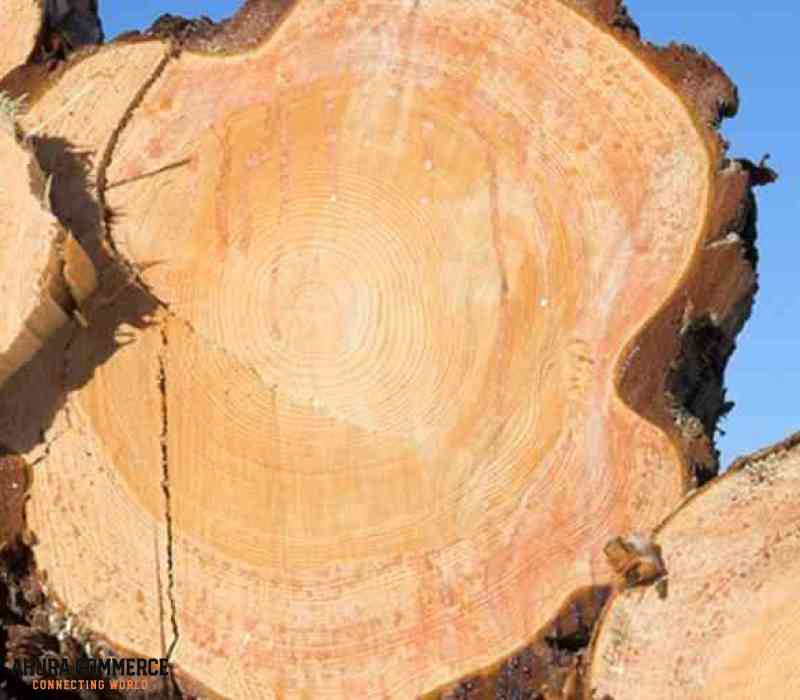 1042_super_dry_canadian_douglas_fir_best_for_house_making