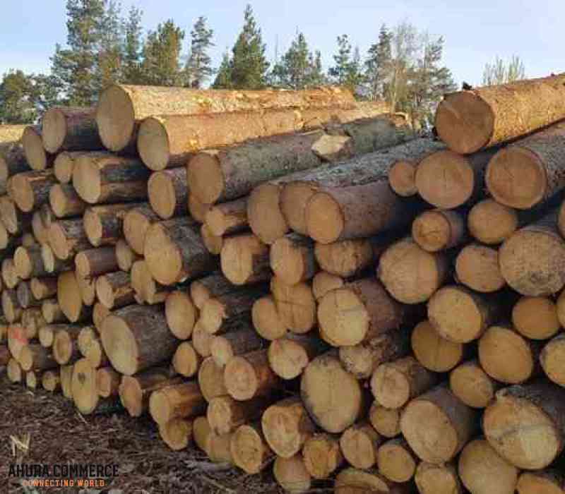 1045_spruce_wood_dried_by_air_and_premium_quality_from_north_canada