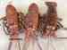 Wholesale of Canadian Warm-water Lobster