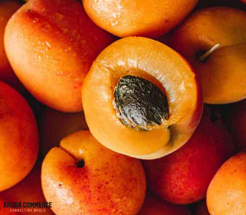 1059_sell_different_types_of_iranian_apricot_for_omani_market