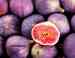 Iranian Best Figs Supplier