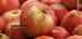Buy and Import Best quality Apple from Iran