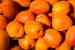 Supplier and Seller of Iranian Apricots