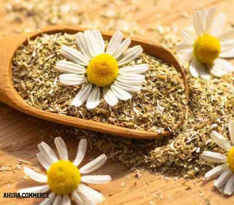 1074_chamomile_supplier_in_iran_with_highest_satisfaction_rate