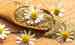 Chamomile supplier in Iran with highest satisfaction rate