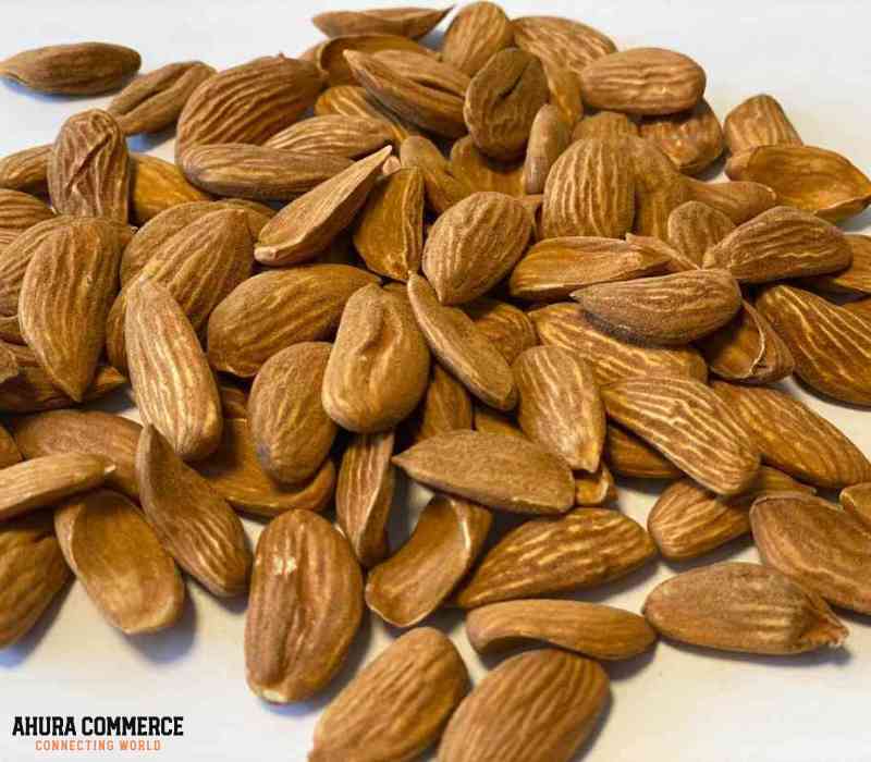 1076_iranian_almond_supplier_-_supplier_of_iranian_almonds